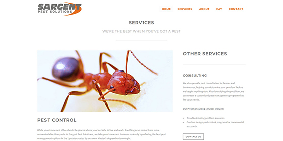 Available Design Sargent Pest Portfolio Image 2