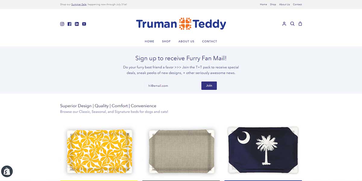 Available Design Truman & Teddy Portfolio Image 4
